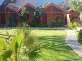 Bungalow with garden view