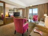 Executive Single Suite