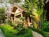 Superior Double room with garden view