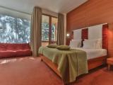 Улучшенный Two person Room с 1 двуспальной кроватью (Luxury Building)