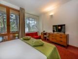 Standard Two person Room с 1 двуспальной кроватью (Luxury Building)